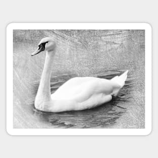 Elegant Swan Magnet